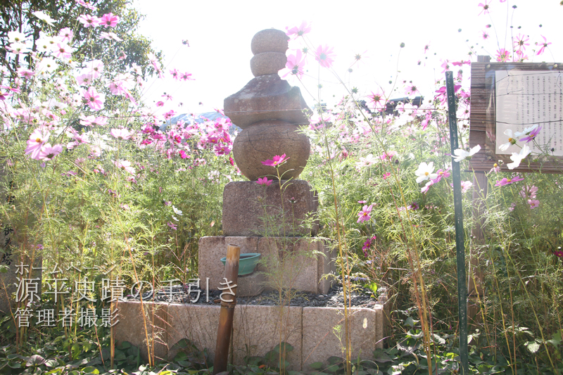 正面