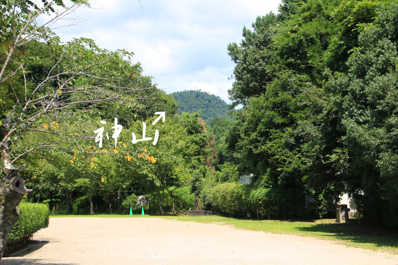 上賀茂神社の神山