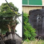 御崎坂の碑と神社