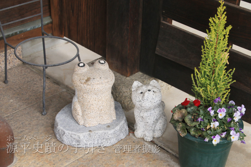 蛙と犬