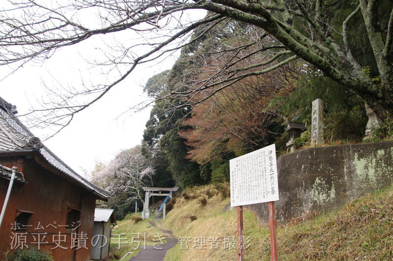 住宅の奥