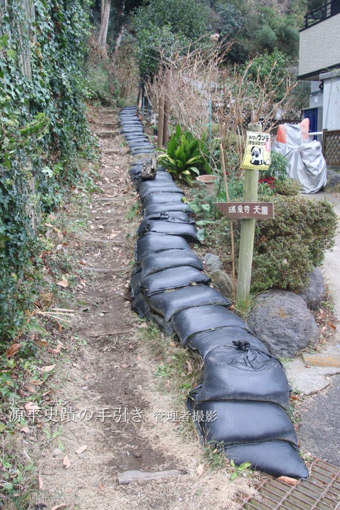 土道