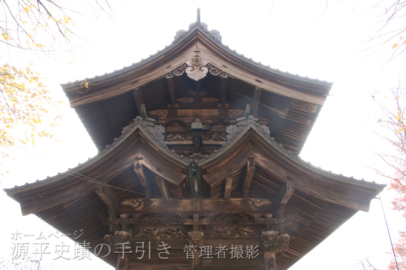 見どころ