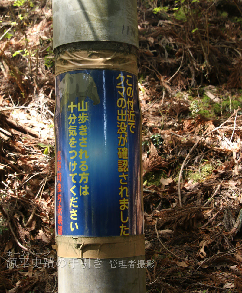熊