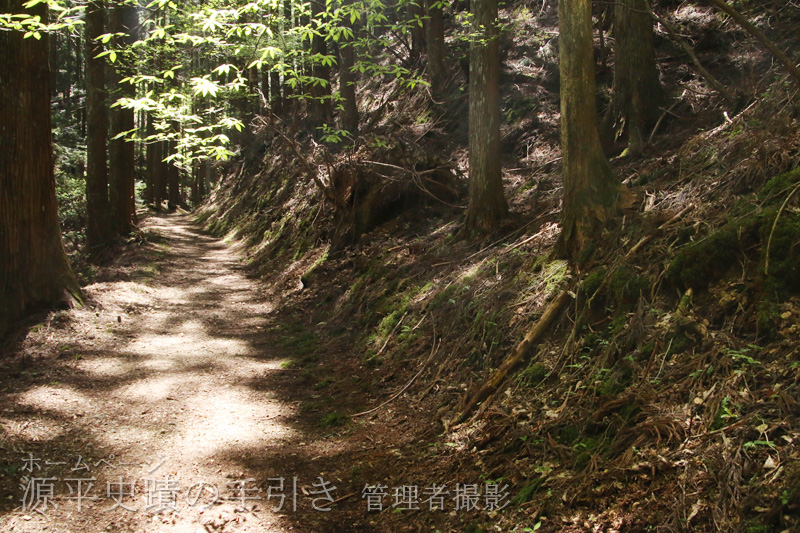 山道