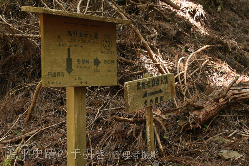 案内