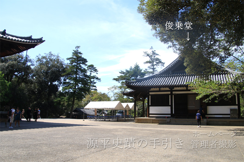 人間との比較