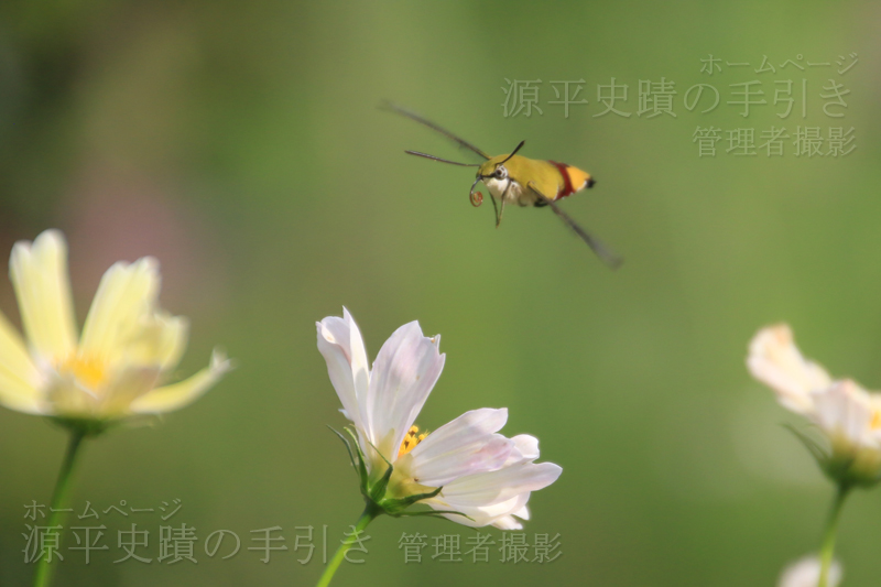 とぶ